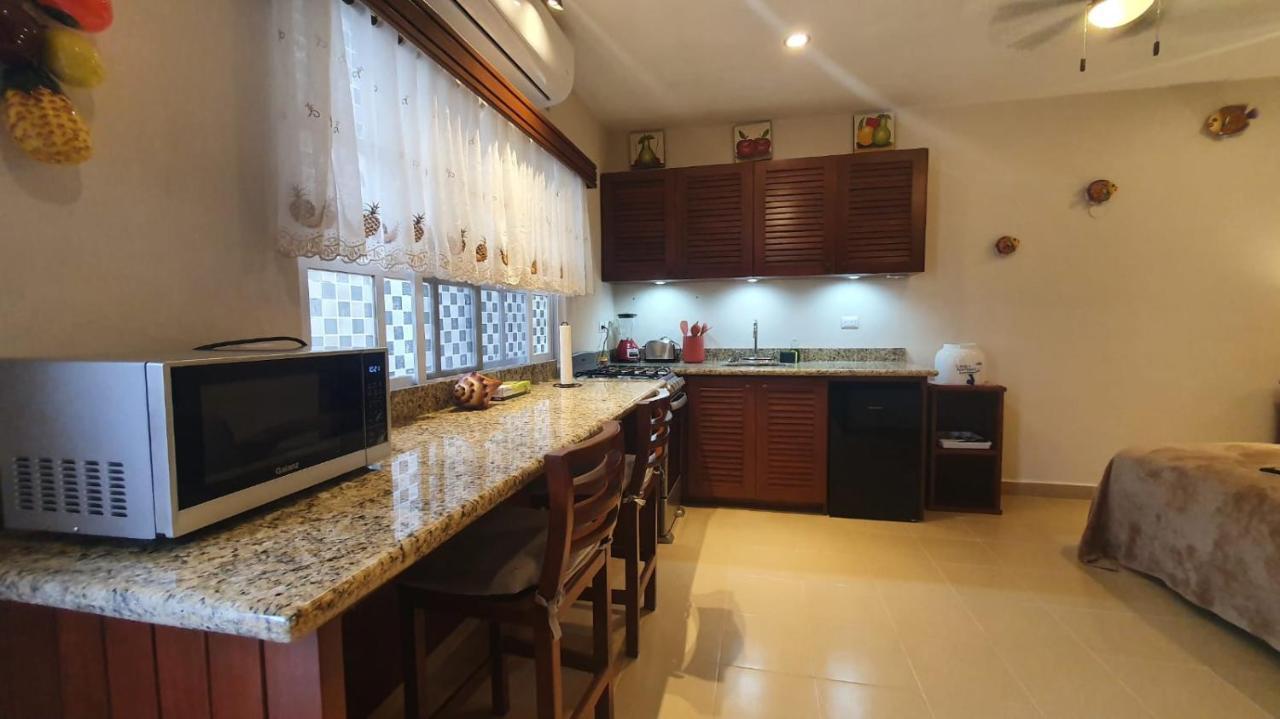 Apartment Coralito Malecon Luxury